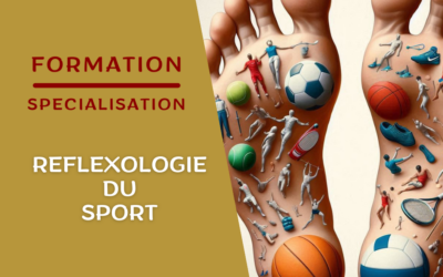 Formation Réflexologie du Sport